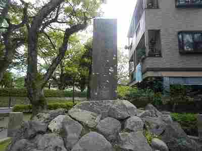 DSCN7309.jpg