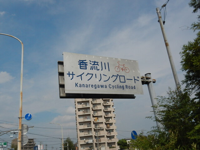 DSCN7348.JPG