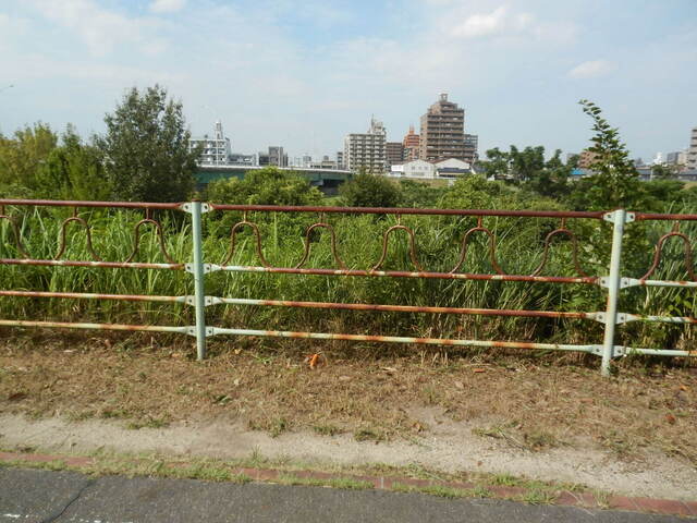 DSCN7351.JPG