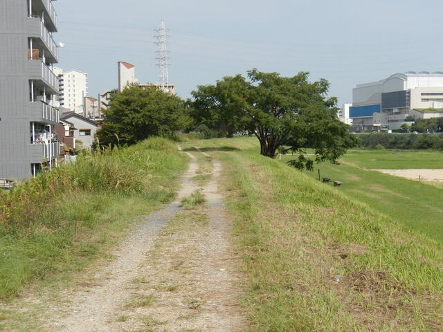 DSCN7352.JPG