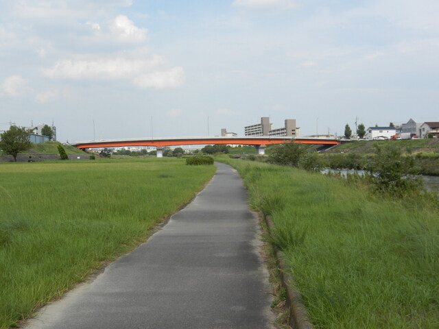 DSCN7353.JPG