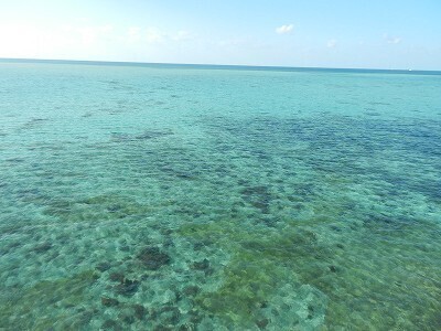 DSCN7469.jpg