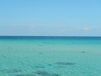 DSCN7479.jpg
