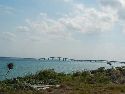DSCN7483.jpg