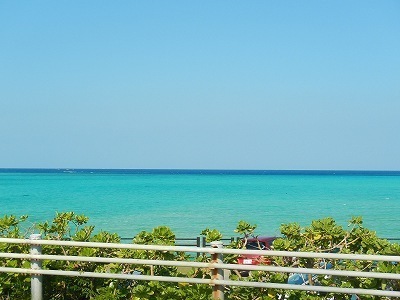 DSCN7503.jpg