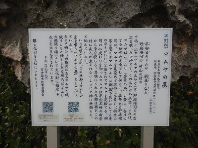 DSCN7521.jpg