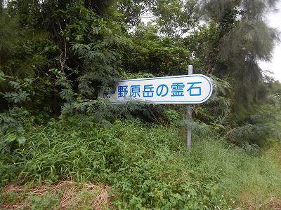 DSCN7530.jpg