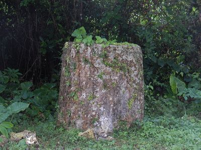DSCN7532.jpg