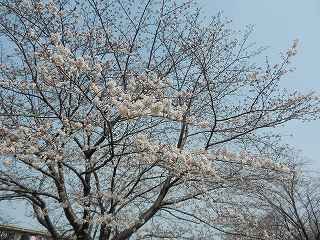 DSCN7559.jpg