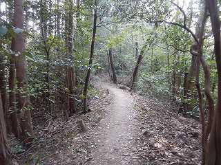 DSCN7601.jpg