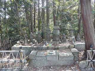 DSCN7608.jpg