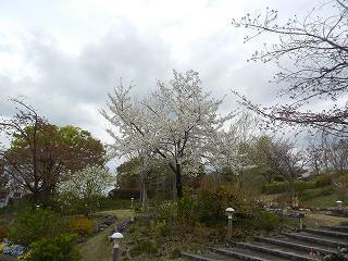 DSCN7634.jpg