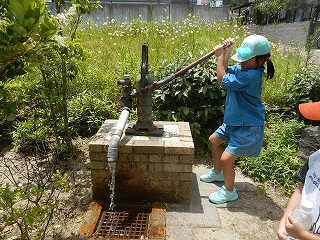 DSCN7963.jpg