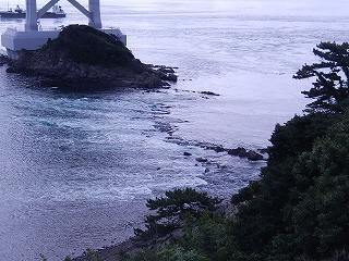 DSCN8012.jpg