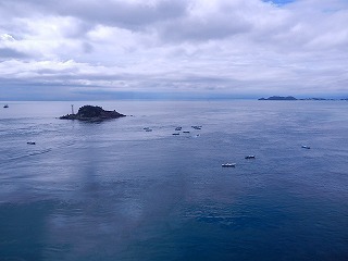 DSCN8017.jpg
