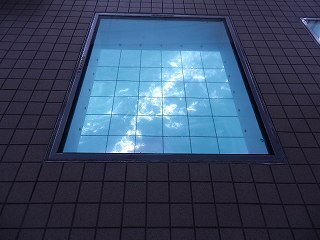 DSCN8021.jpg