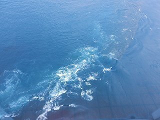 DSCN8022.jpg