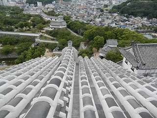 DSCN8038.jpg