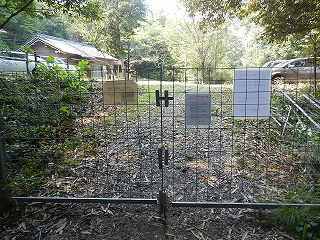 DSCN8073.jpg