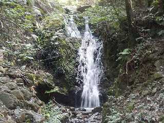 DSCN8078.jpg