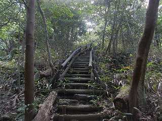 DSCN8079.jpg