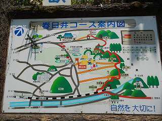 DSCN8082.jpg