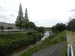 DSCN8145.jpg