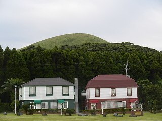 DSCN8203.jpg