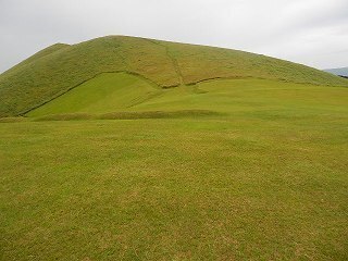 DSCN8209.jpg