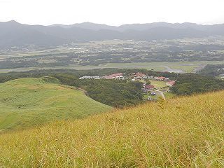 DSCN8210.jpg