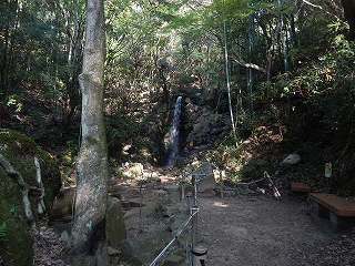 DSCN8284.jpg