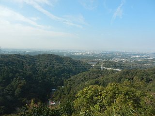 DSCN8286.jpg