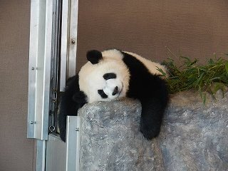 DSCN8299.jpg