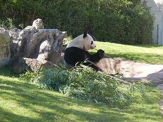 DSCN8302.jpg