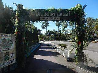 DSCN8321.jpg
