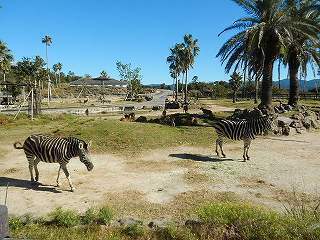 DSCN8325.jpg