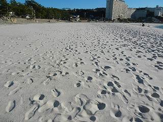 DSCN8335.jpg
