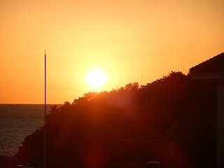DSCN8337.jpg