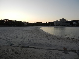 DSCN8341.jpg