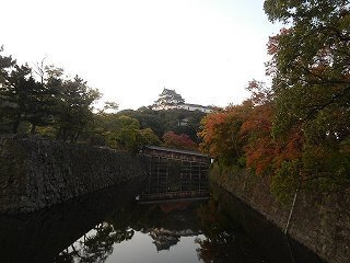 DSCN8350.jpg