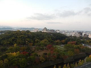 DSCN8355.jpg