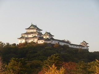 DSCN8361.jpg