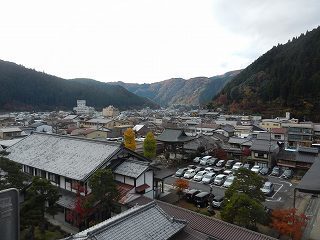 DSCN8379.jpg