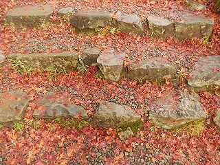 DSCN8380.jpg