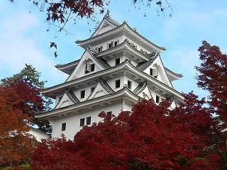DSCN8382.jpg