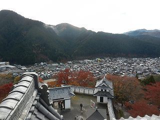 DSCN8387.jpg