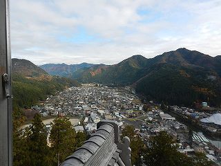 DSCN8388.jpg