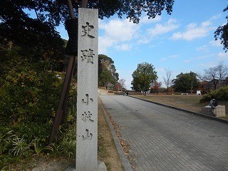 DSCN8401.jpg
