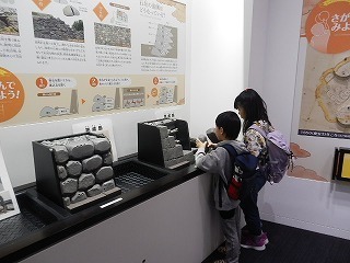 DSCN8404.jpg