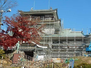 DSCN8406.jpg